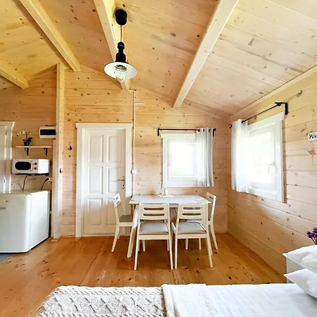 Letniskowe Drewniane Szenodo Na Sosnowej * Debina (Ustka)